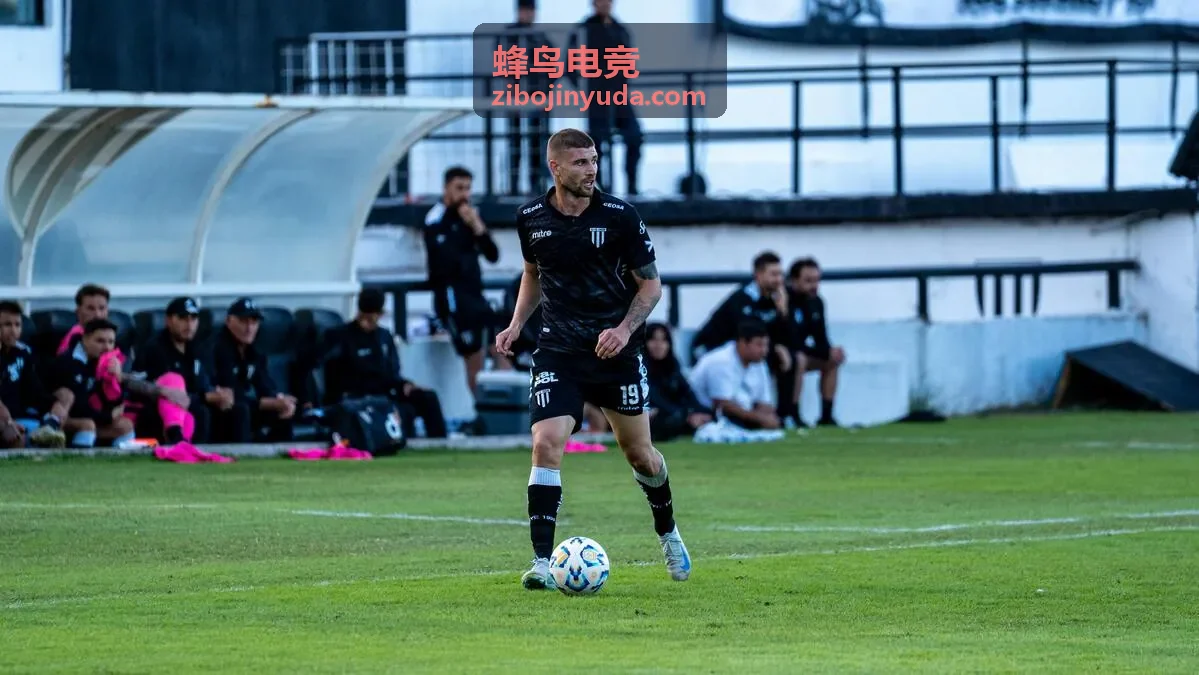 蜂鸟电竞定制报告