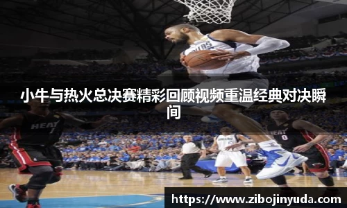 小牛与热火总决赛精彩回顾视频重温经典对决瞬间