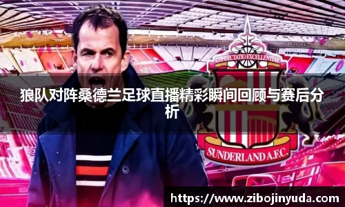 狼队对阵桑德兰足球直播精彩瞬间回顾与赛后分析